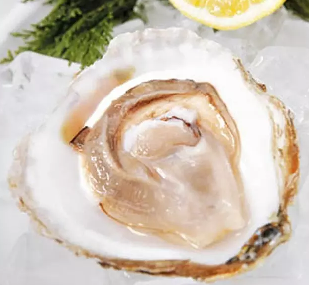 新西兰布拉夫 bluff