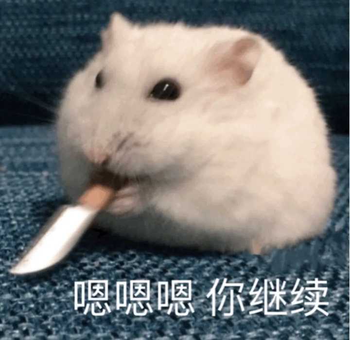 有没有让人笑到头掉的沙雕文案?
