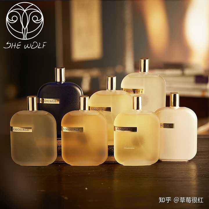 香水的香调是否有一个普遍认可的分类标准 知乎 香水的香调是否有一个普遍认可的分类标准 知乎