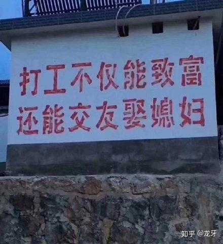 农村养鸡的经验及故事分享【转自知乎】-图3