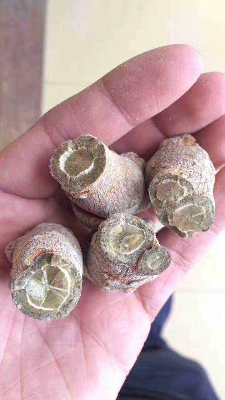 买的三七掰开后切面有点黑又有紫色这样的三七还可以吃么?