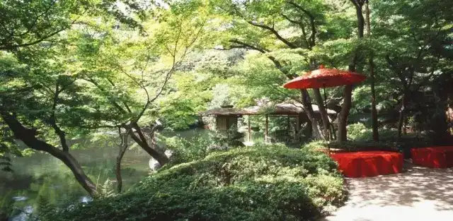 日本三月樱花比较偏门的观赏地点有哪些 知乎 日本三月樱花比较偏门的观赏地点有哪些 知乎