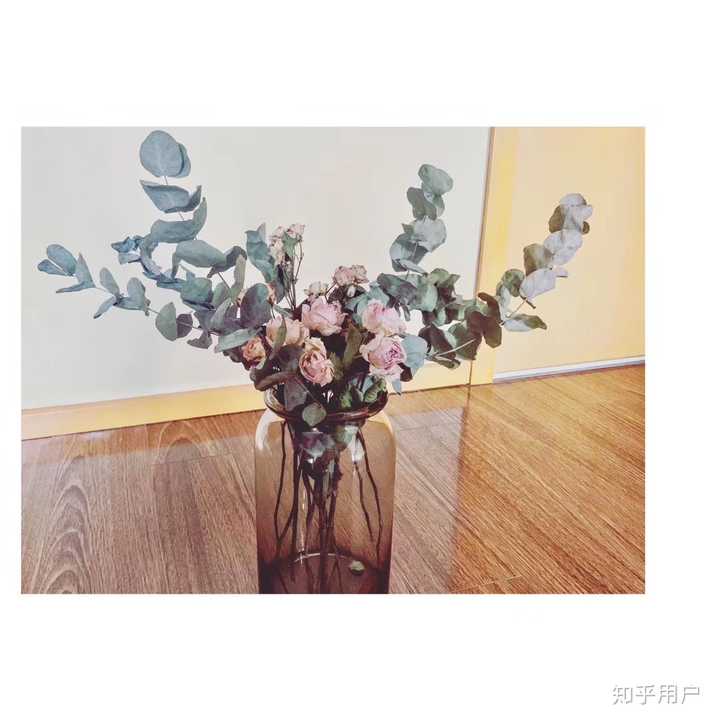 收到的鲜花怎么处理 知乎 收到的鲜花怎么处理 知乎