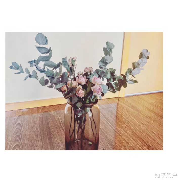 收到的鲜花怎么处理 知乎