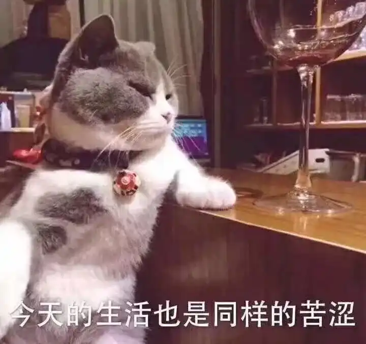 你学英语的时候都用过哪些小窍门 知乎 你学英语的时候都用过哪些小窍门 知乎