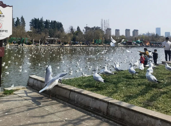 昆明为什么叫春城? - 知乎