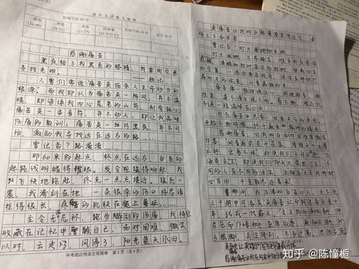 初中作文能矫情到什么程度 知乎