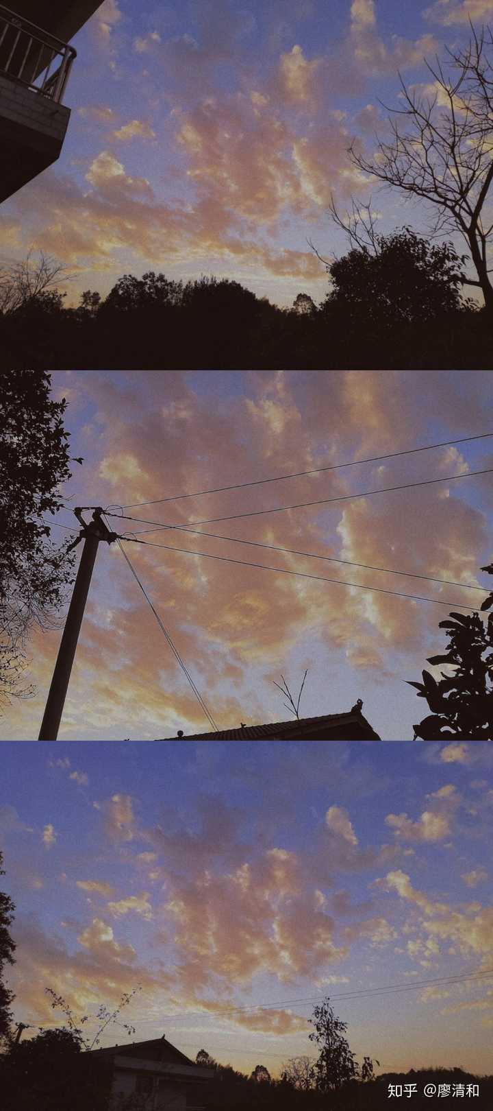 2020 年,你拍的最好看的一张照片是什么,背后有什么故事? - 知乎