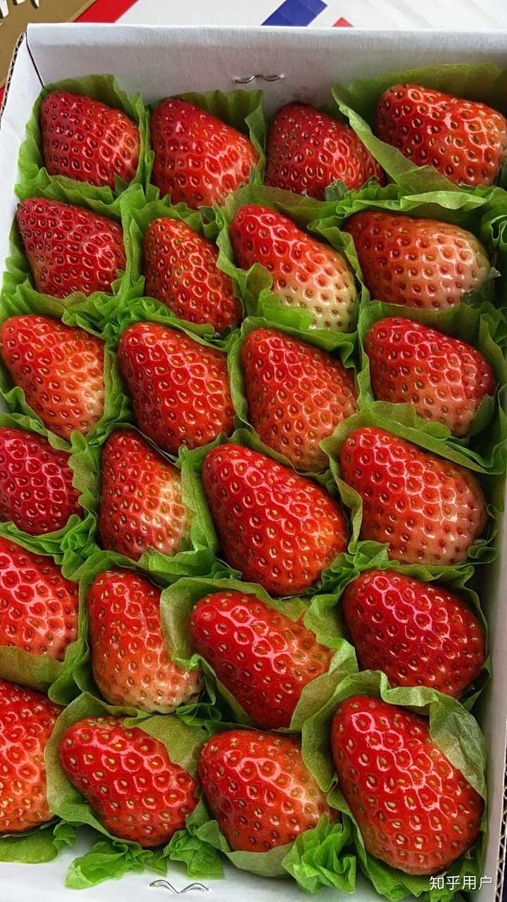 在你心目中,最好吃的水果是什么?