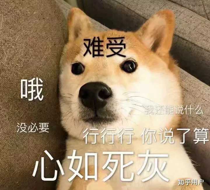 你在宿舍 开心吗 知乎