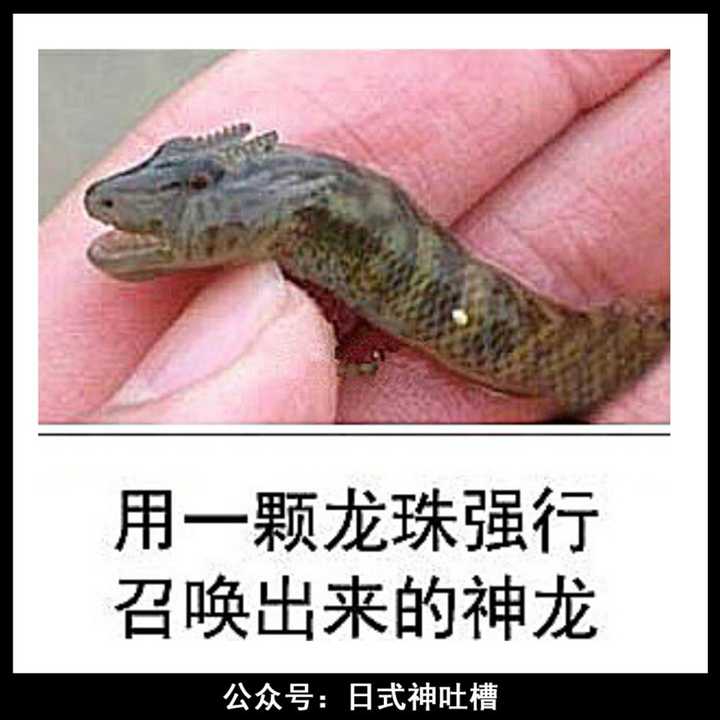 这些天疫情很严重,能不能发点搞笑的内容让大家放松一下?