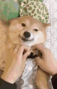 开启外链图片自动本地化后,如何让部分图片不要自动本地化