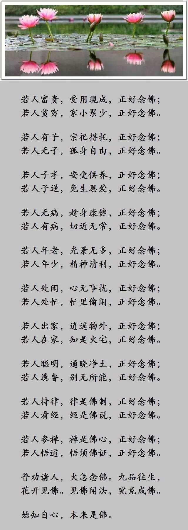 即持戒波罗蜜 一心念佛心自柔软即忍辱波罗蜜 一心念佛永不退堕