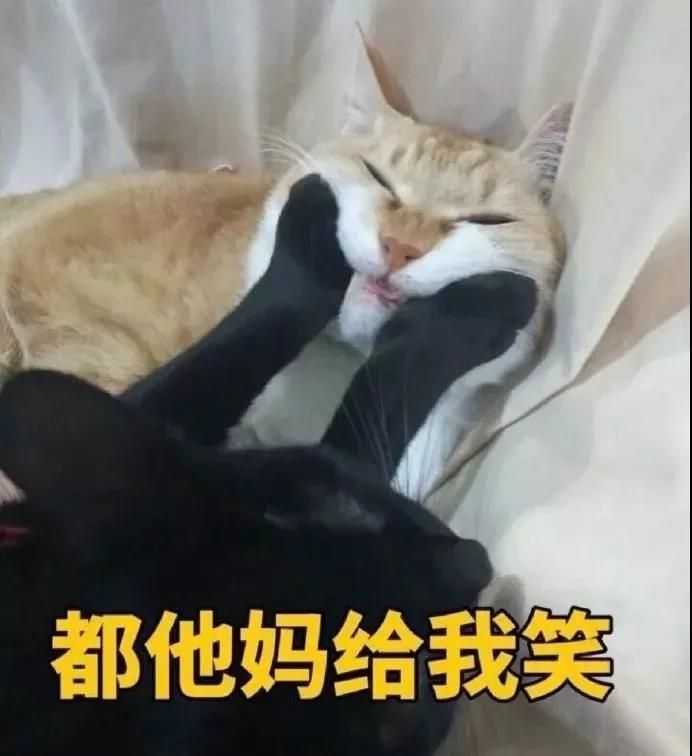 如果你是虐文里的女主你会怎么办 知乎 如果你是虐文里的女主你会怎么办 知乎