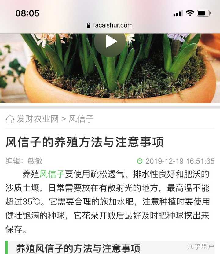 如果室友吃了我种在在宿舍的风信子球根中毒进医院了 我需要负责任么 知乎