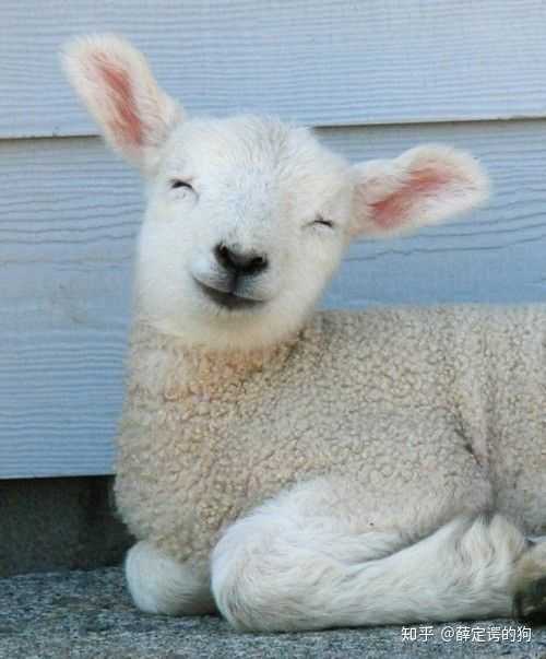 微笑改变了你看待世界的方式吗?