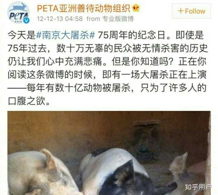 为科学与医学研究 虐待 动物合理吗 知乎 为科学与医学研究 虐待 动物合理吗 知乎