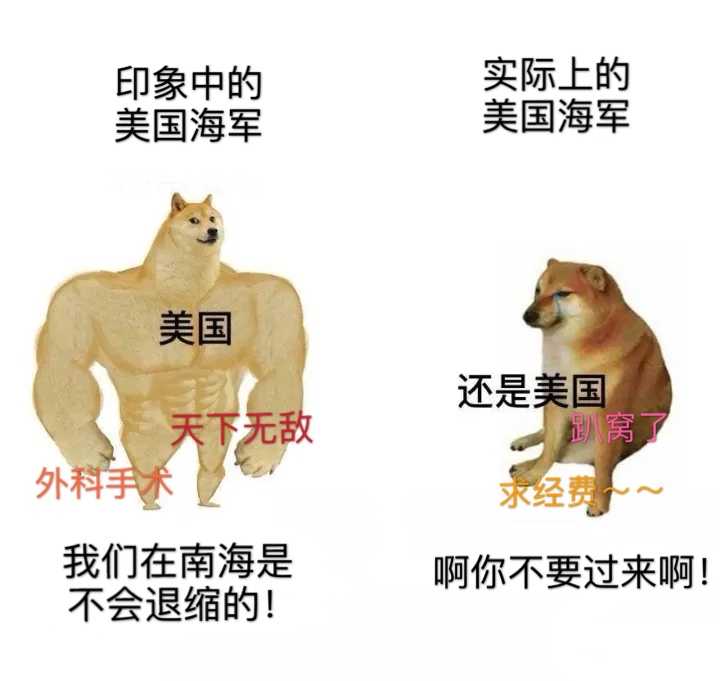 v2-33b591cfbabc4c45d55cb990385ee572_bh.jpg