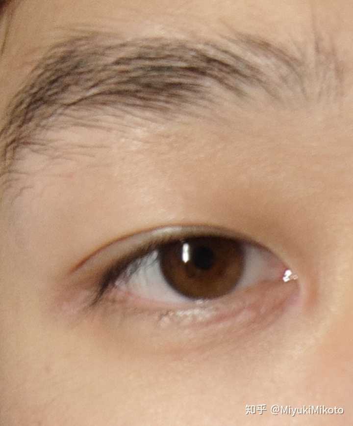 浅褐色瞳孔图片