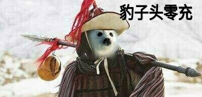 (非引战向)说说二次元手游,Fgo,阴阳师以及崩坏