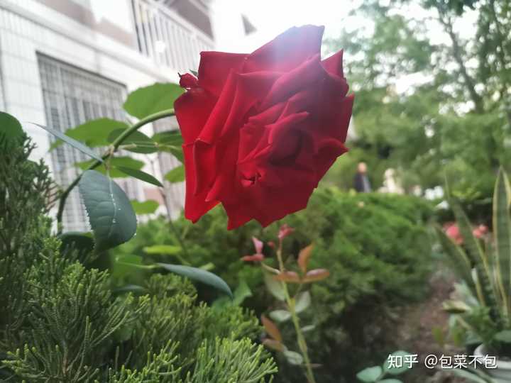 鲁迅的 中国小说史略 的地位如何 知乎 鲁迅的 中国小说史略 的地位如何 知乎