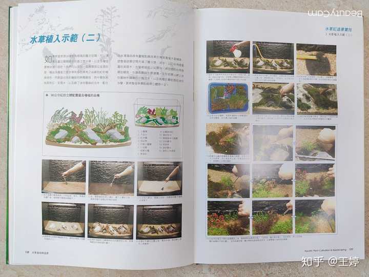 水族造景入门教材 求分享 知乎 水族造景入门教材 求分享 知乎