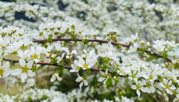 孩子问我，为什么人就一定要学习呢？不学习会怎么样？我可以怎么回答他？