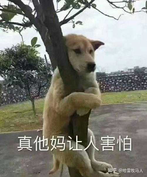 水瓶座男真的狗都不谈吗 知乎