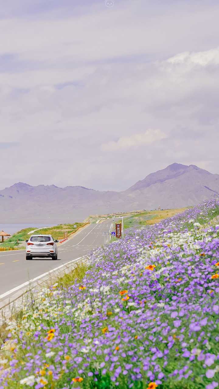 有哪些可以将屏幕发挥到极致的壁纸 知乎 有哪些可以将屏幕发挥到极致的壁纸 知乎