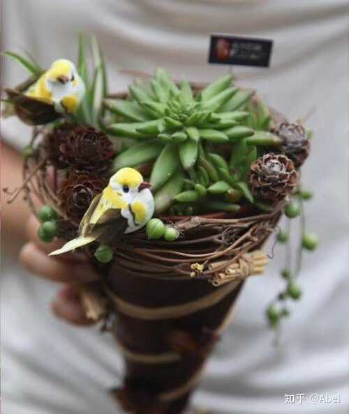 abel 的想法: 抱最大希望,尽最大努力,持最好心态 - 知乎