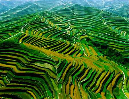 庄浪梯田老攒劲了.