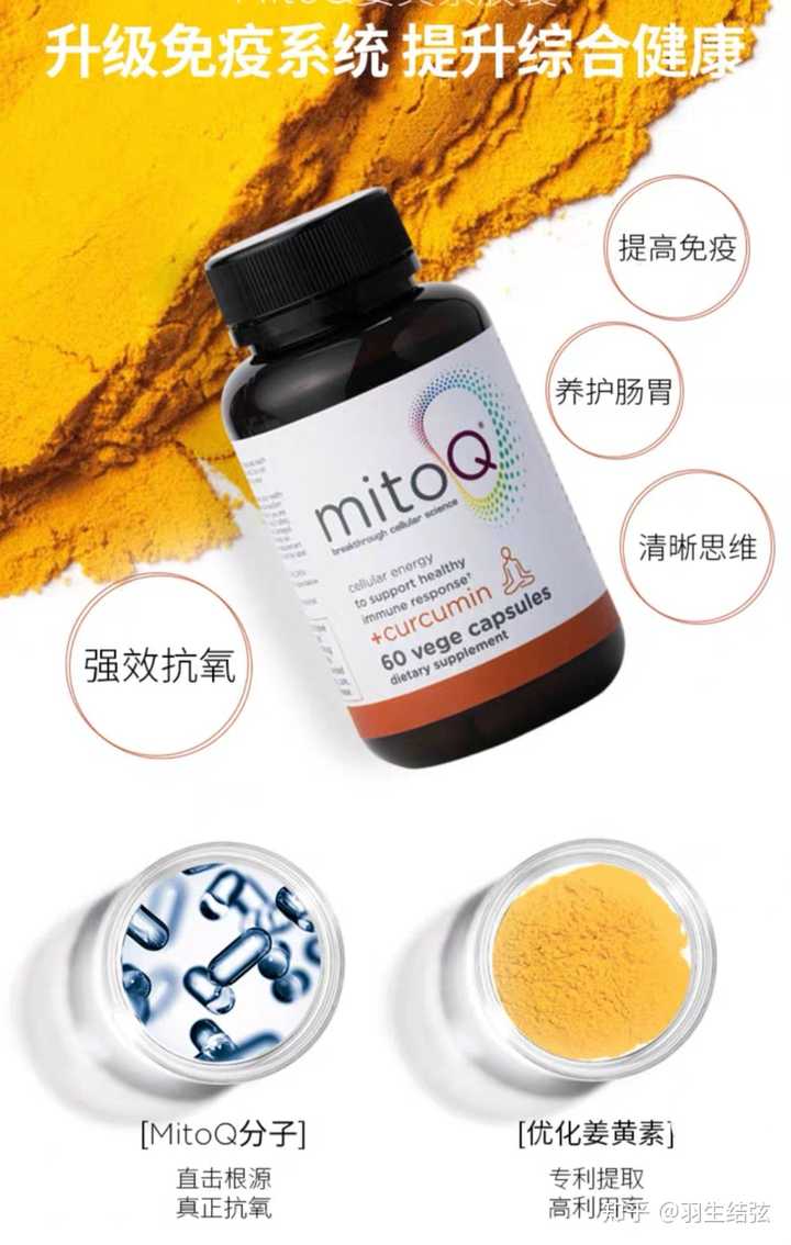 可以提高免疫力的保健品有哪些？