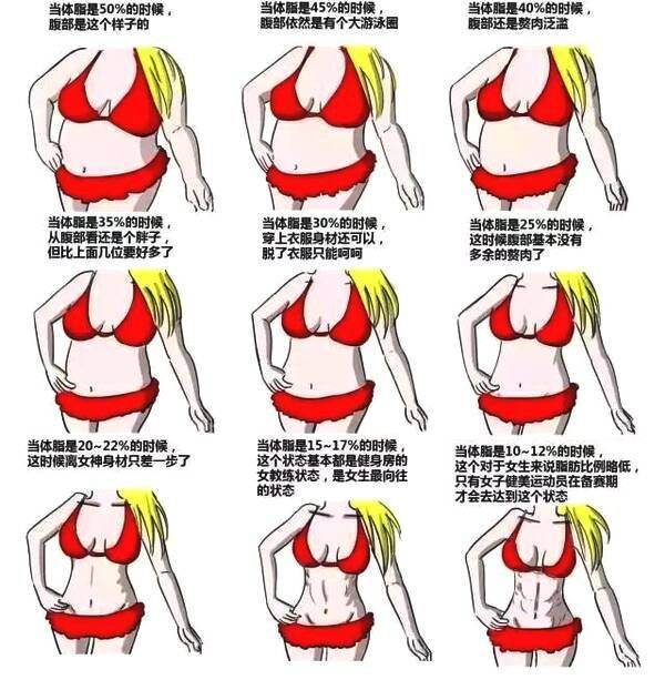 女生体脂率多少正常 知乎 女生体脂率多少正常 知乎