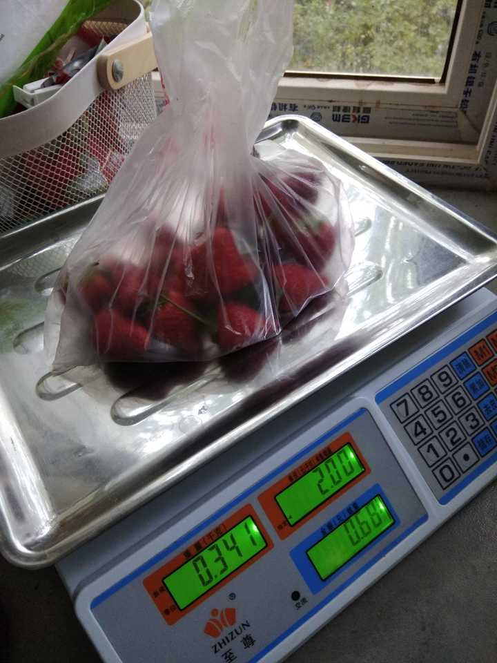 西安这座城市怎么样?