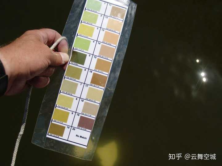 哪里的海很蓝还有透明的感觉?