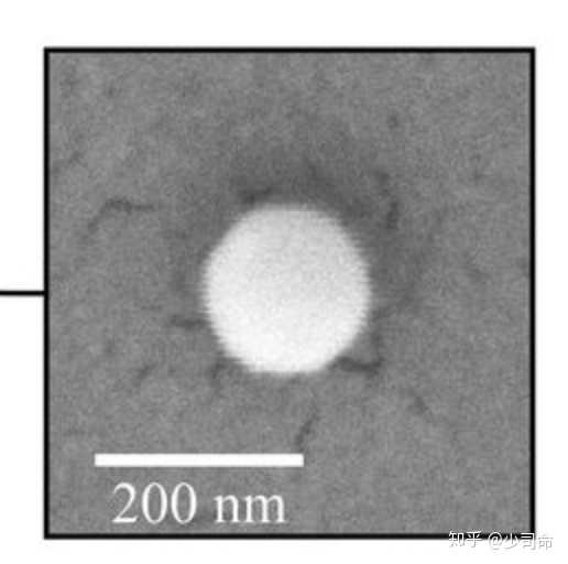 量子与纳米哪个更小 量子与纳米的区别 一纳米等于多少量子