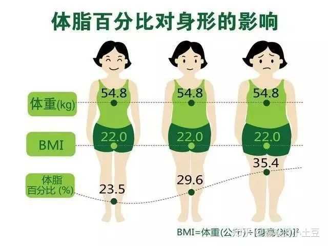 男士体脂对照图