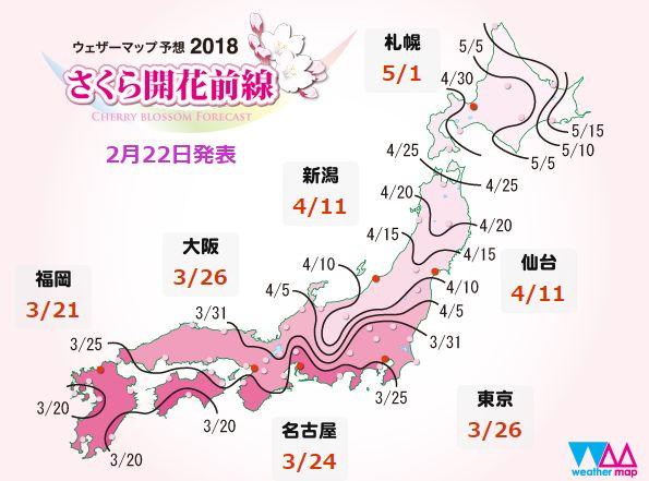 樱花对于日本文化是怎样的一种存在 知乎