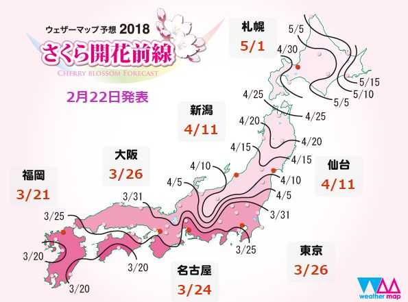 樱花对于日本文化是怎样的一种存在 知乎 樱花对于日本文化是怎样的一种存在 知乎