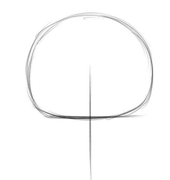 上,更不要用测量工具来测量。头部的绘画步骤:在纸上画出一个椭圆形。