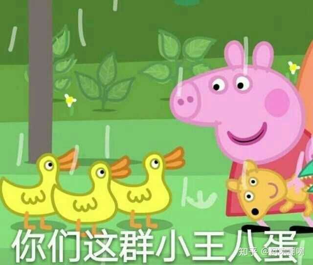 或许把可怜换成可悲更合适一点