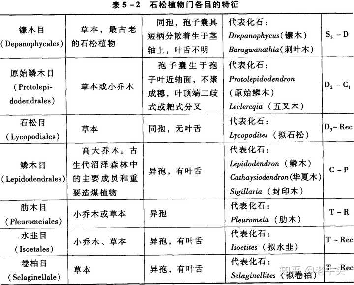 植物是怎么分类的 知乎