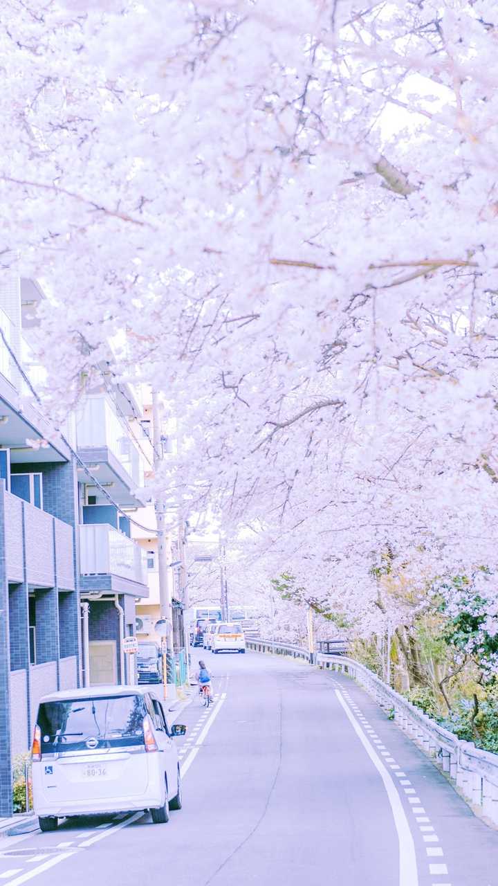 日式壁纸 日式手机壁纸 日式和风壁纸