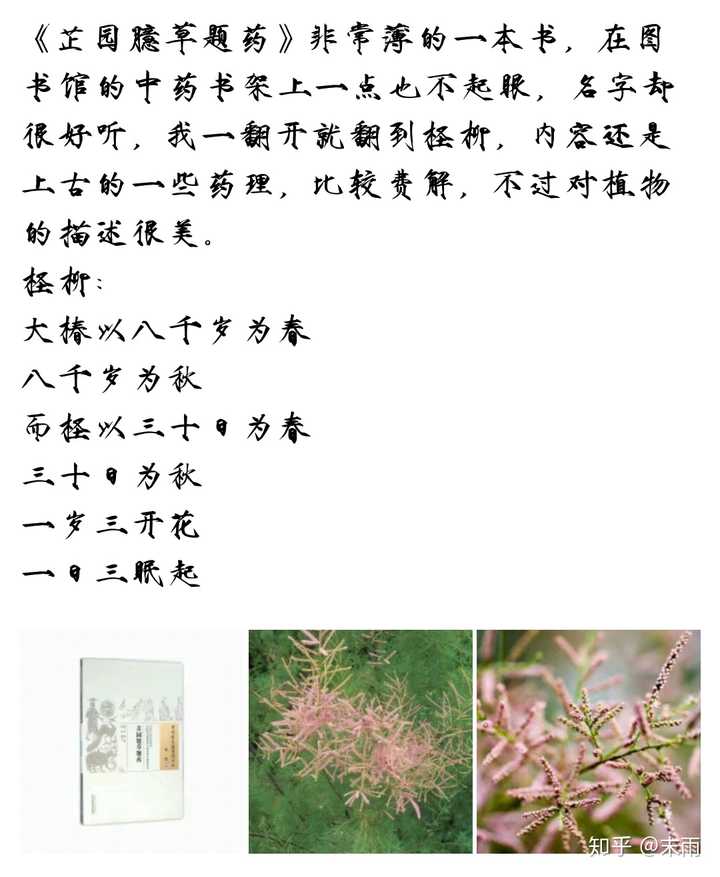 有哪些很文艺的句子 知乎