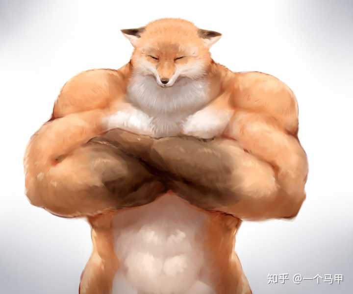 肌肉狐vs右勾拳柴犬