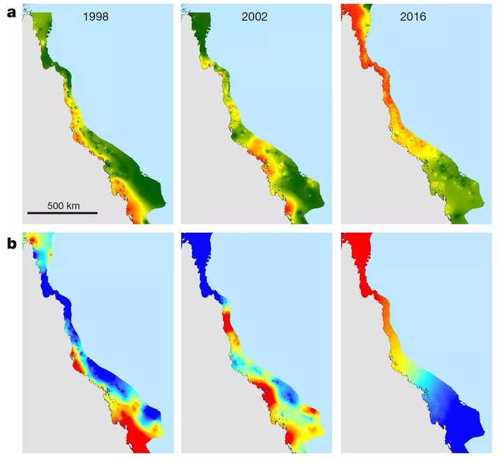 水温分布图 b:珊瑚礁白化程度(红色为重灾区)