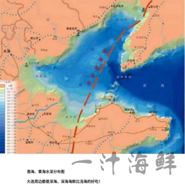 大连～ 北纬39度,世界公认海洋生物最佳生长位置～ 见图