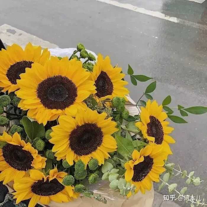 踮起脚尖的唯美句子 踮起脚尖的幸福的短句 踮起脚尖的名言