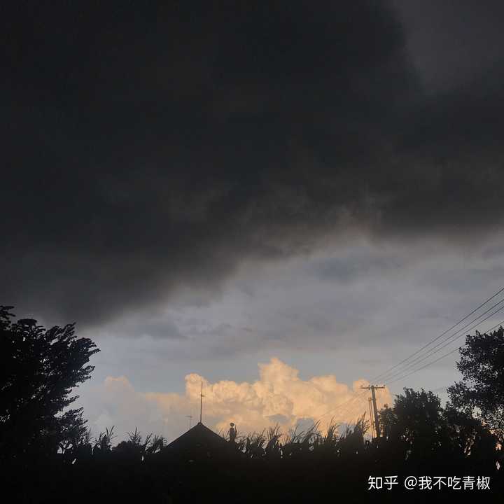 夏季的午后,一阵乌云从西北压了过来,仿佛就在头顶,可东方的云端洁白