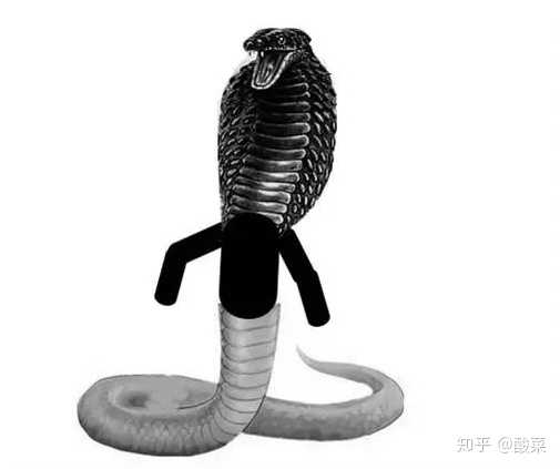 第一类叫蛇精病，它们都有些精神心理问题！